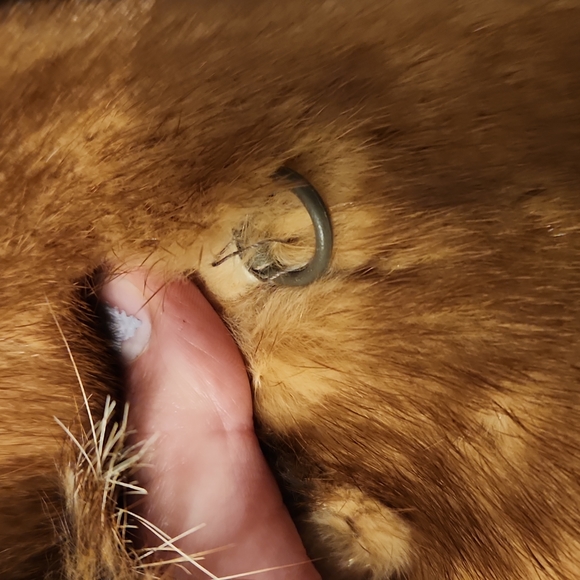 Fox and Mink Fur Coat - Picture 4 of 8